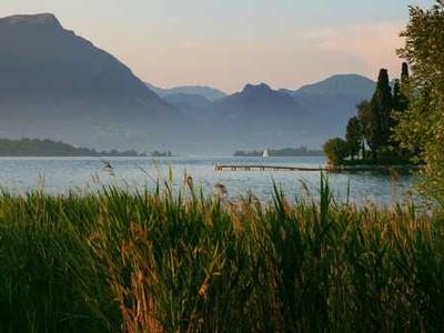 Flash Fiction Fridays: The Light Pierces Bone