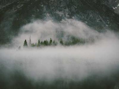 Wonderland Award Winners 2025