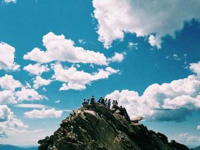 Wonderland Award Winners 2025