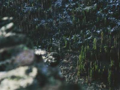 A Slasher That’s All Heart: The Summer is Ended and We Are Not Yet Saved by Joey Comeau