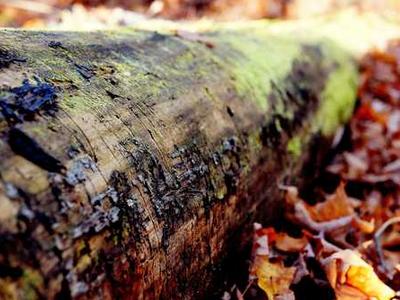 Flash Fiction Fridays: The End of the War Between God and the Devil