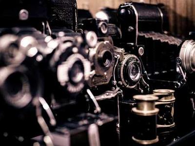 You Will Disembowel the Bird (Viator)