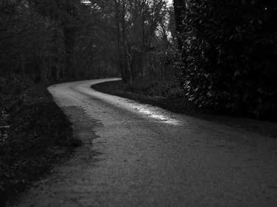 Flash Fiction Fridays: The Light Pierces Bone