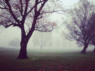 Flash Fiction Fridays: Coming Attractions