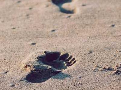 An Inheritance of Air; or, You Are Cordially Invited to Attend My Presentation on Genealogy