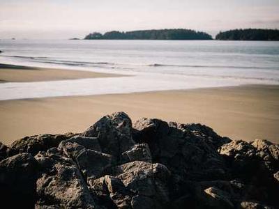 Bizarro Books as Resistance: Rick Claypool