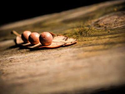 Flash Fiction Fridays: Coming Attractions