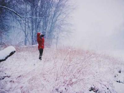 A Slasher That’s All Heart: The Summer is Ended and We Are Not Yet Saved by Joey Comeau