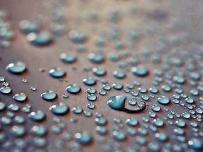 The Wonderland Book Awards – Final Ballot 2025